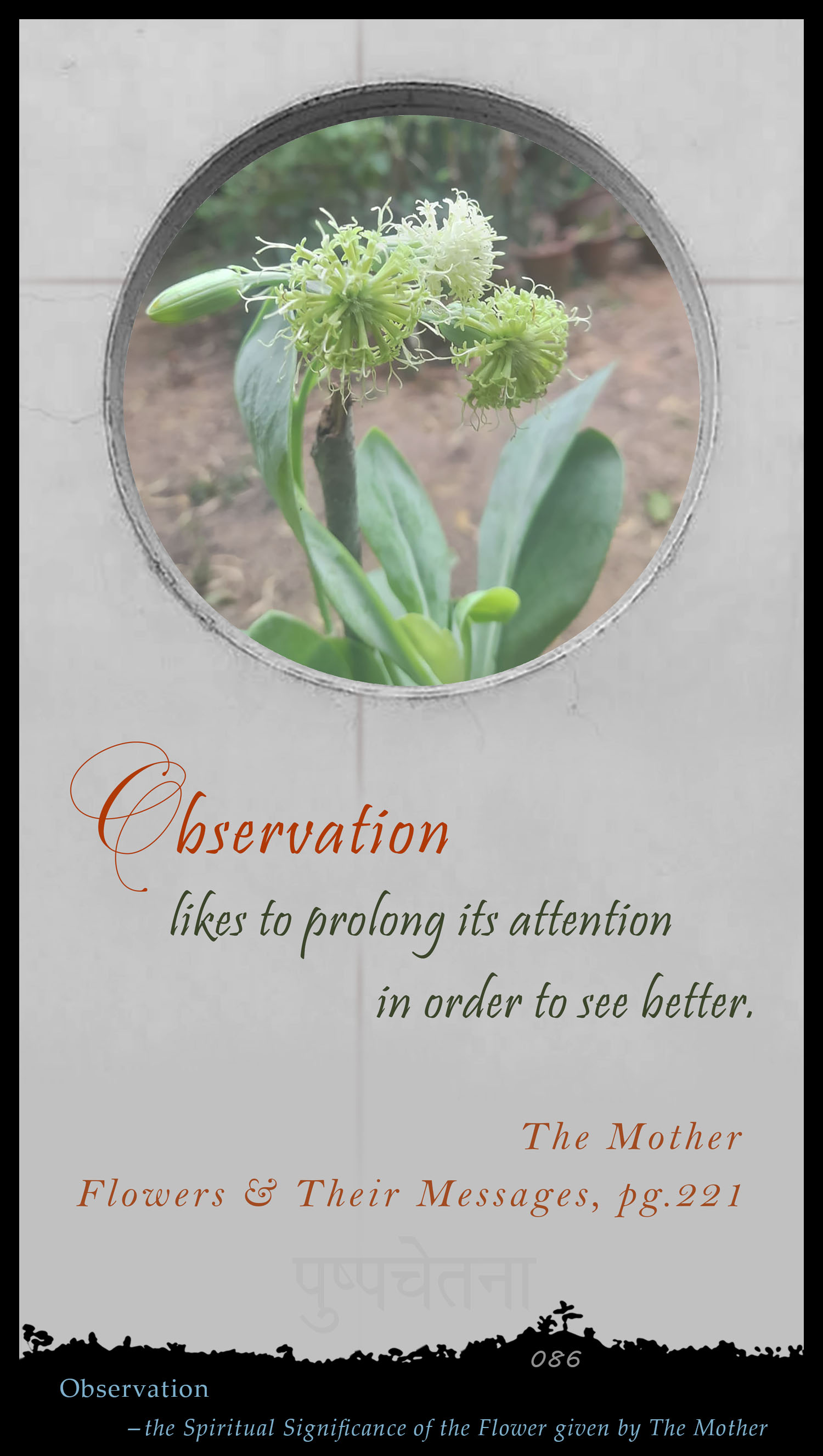 Observation